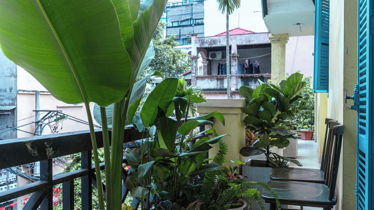 Photo of Outdoor in Quang An