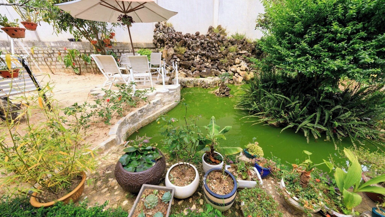 Photo of Outdoor in Da Lat