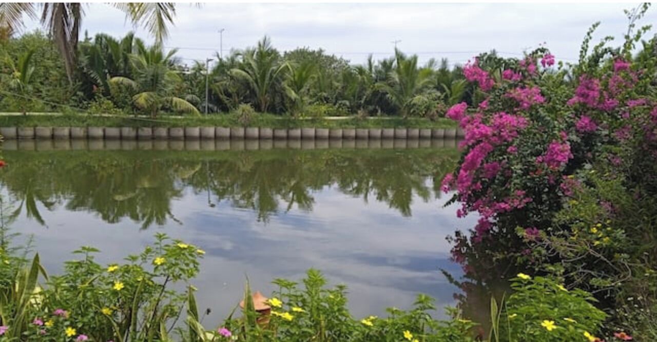 Photo of Outdoor in Cam Thanh