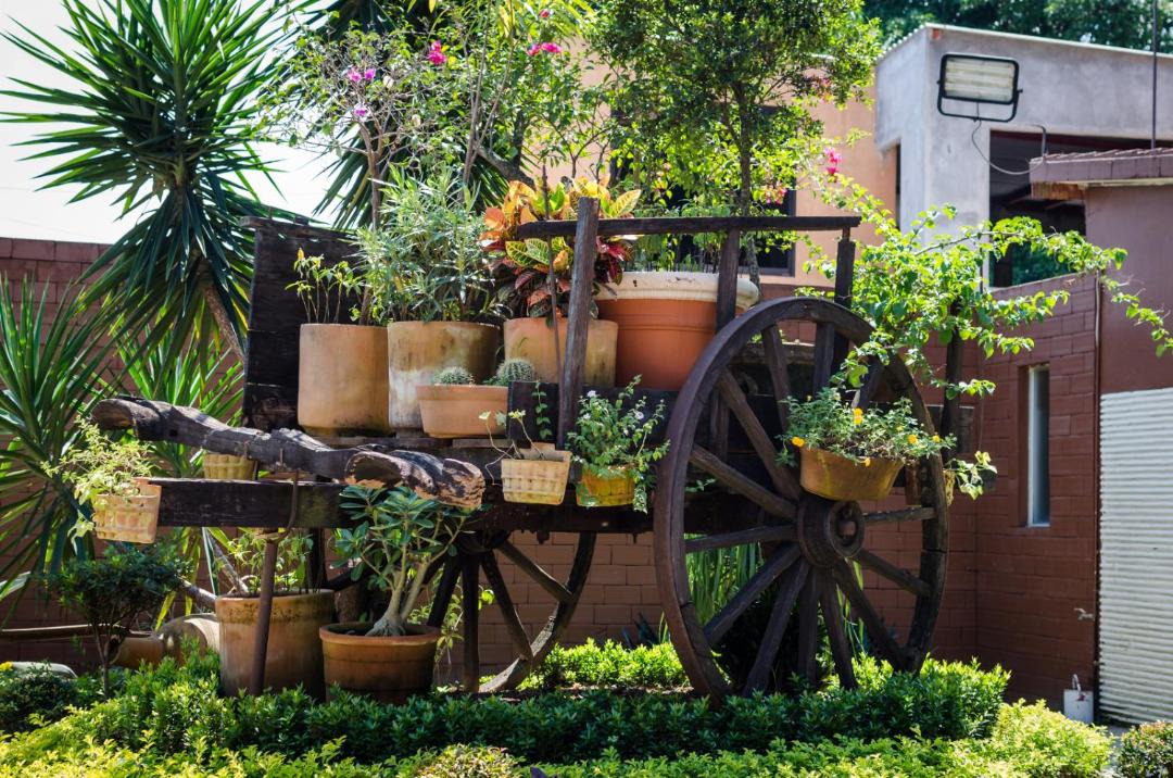 Photo of Others in San Juan Bautista Tuxtepec