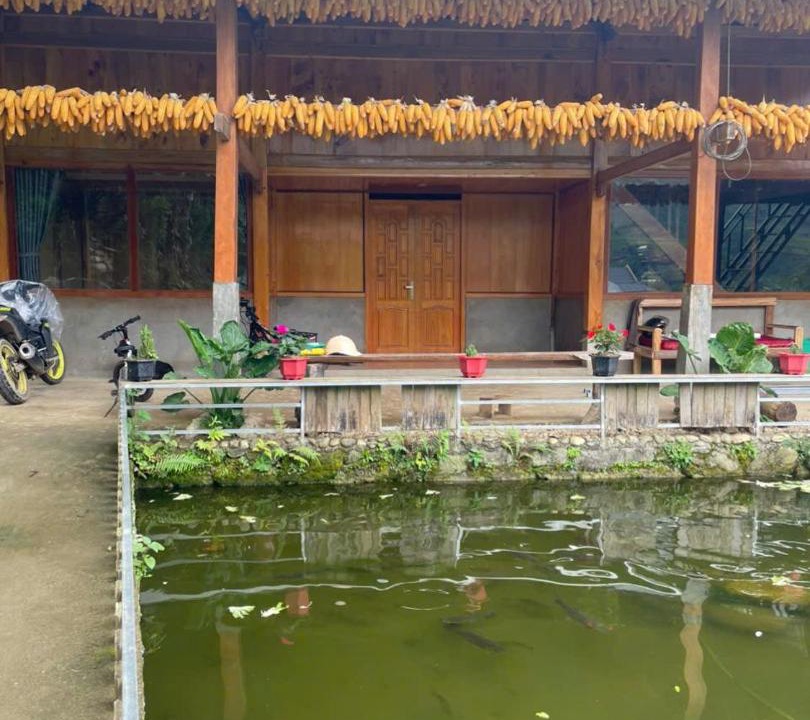 Photo of Others in Hau Thao