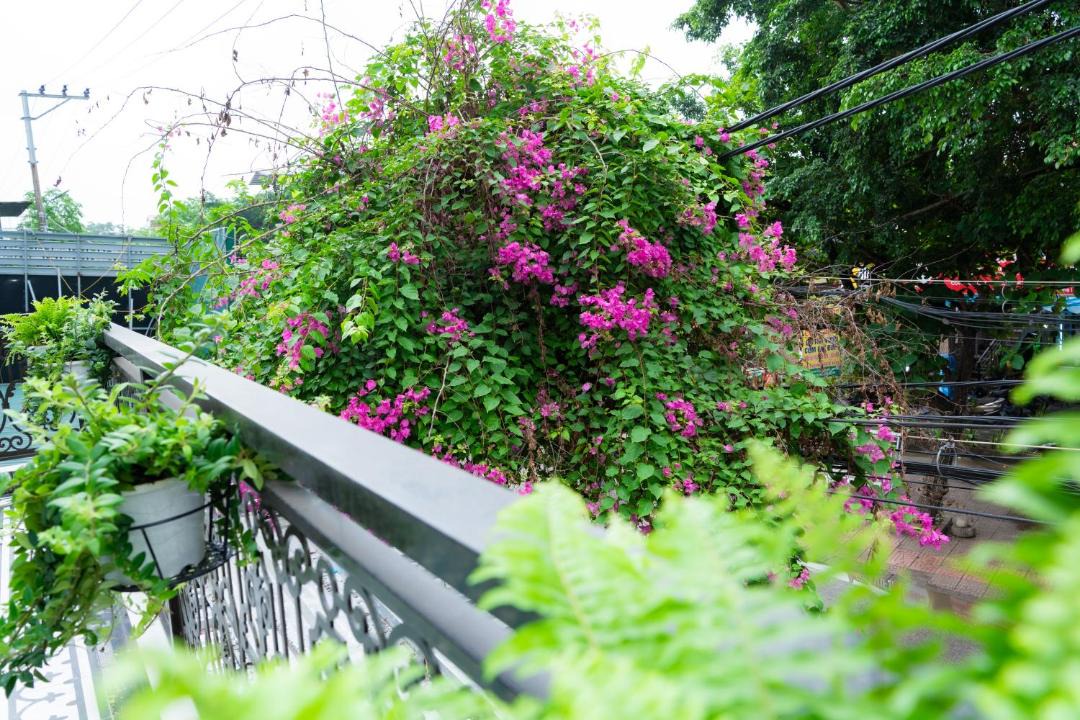 Photo of Others in Hoa Lu