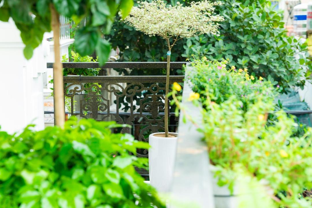 Photo of Others in Hoa Lu