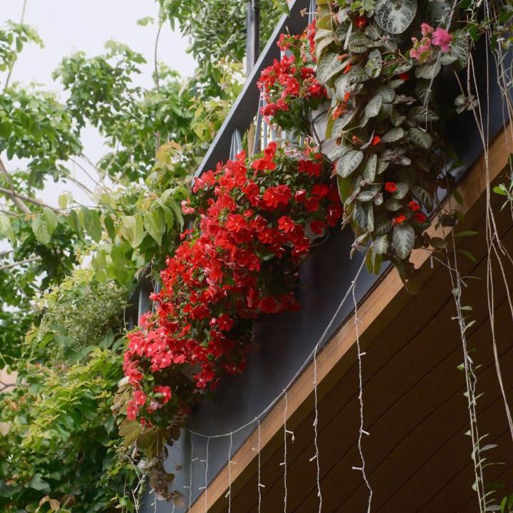 Photo of Patio Balcony in Phuoc Thuan