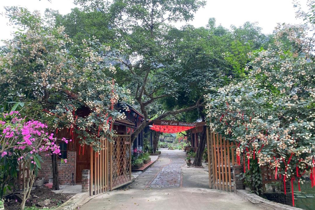 Photo of Others in Hoa Lu