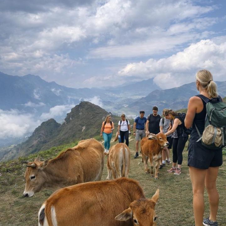 Photo of Others in Hau Thao