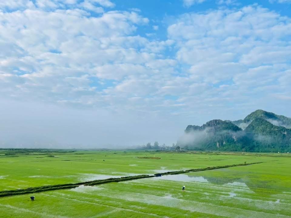 Photo of Others in Phong Nha
