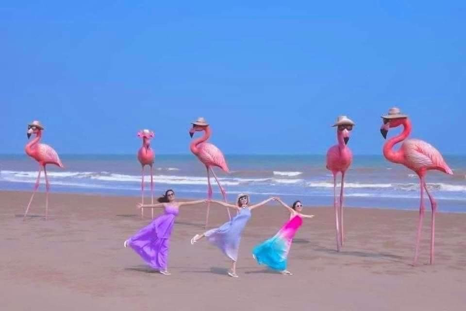 Photo of Others in Hoang Hoa