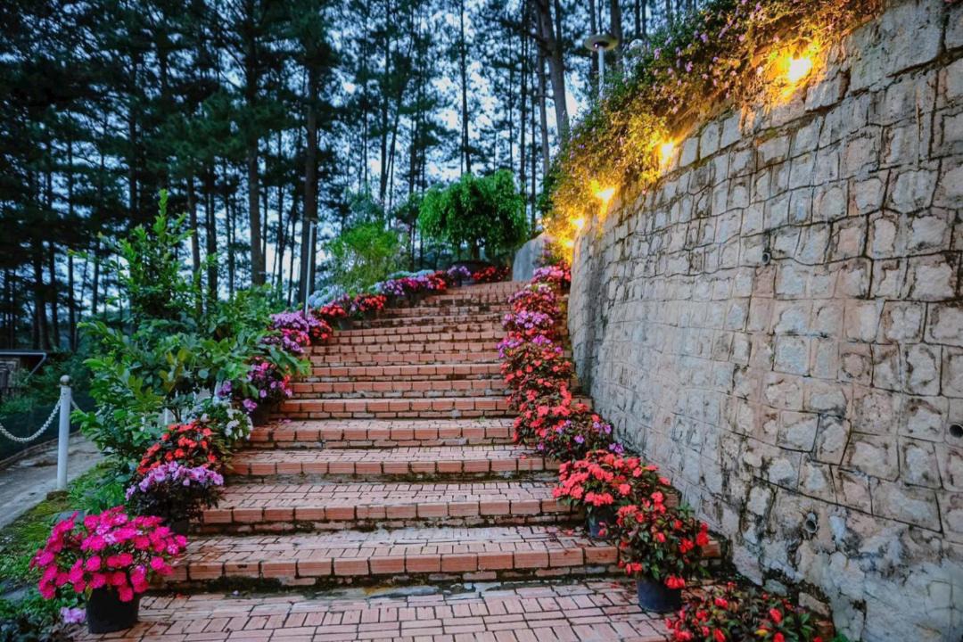 Photo of Others in Da Lat