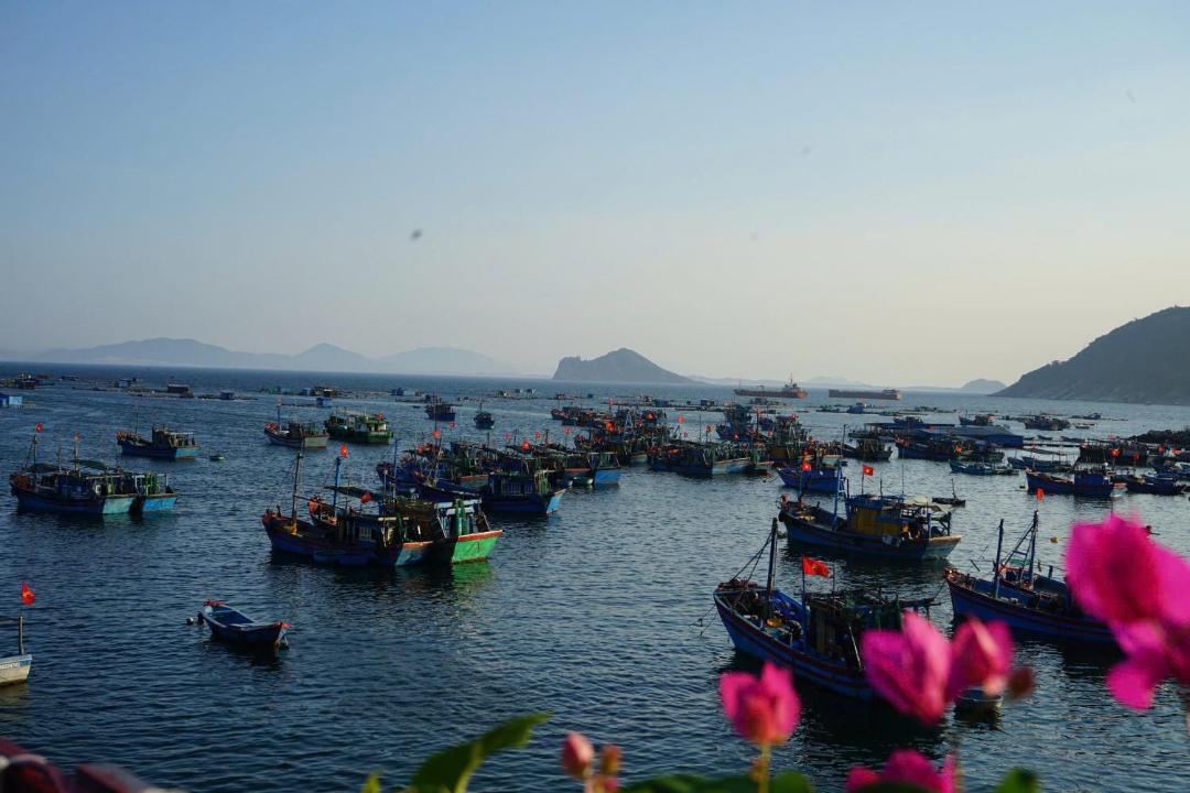 Photo of Others in Dong Hoa