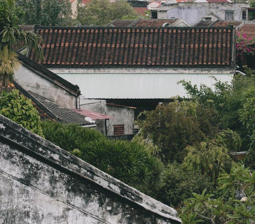 Photo of Others in Cam Pho