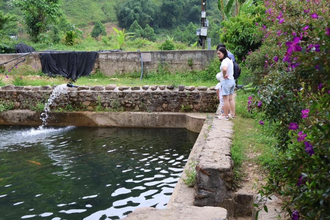 Photo of Others in A Luoi