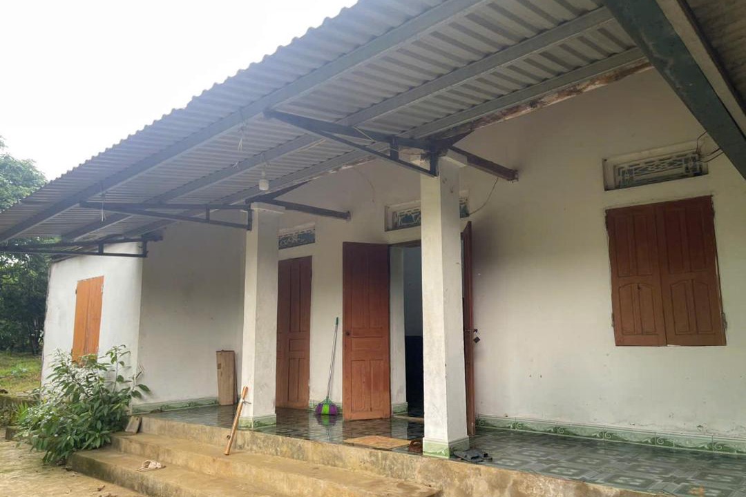 Photo of Others in Nho Quan