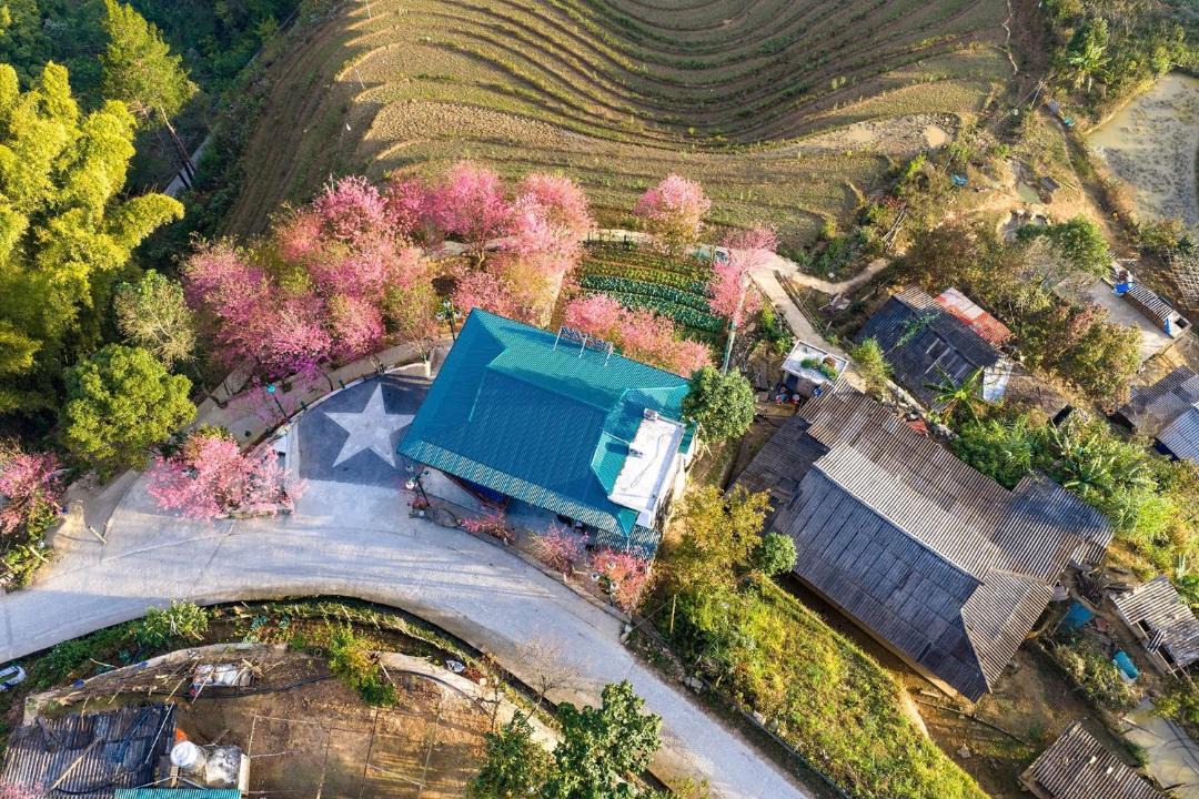 Photo of Others in Mu Cang Chai