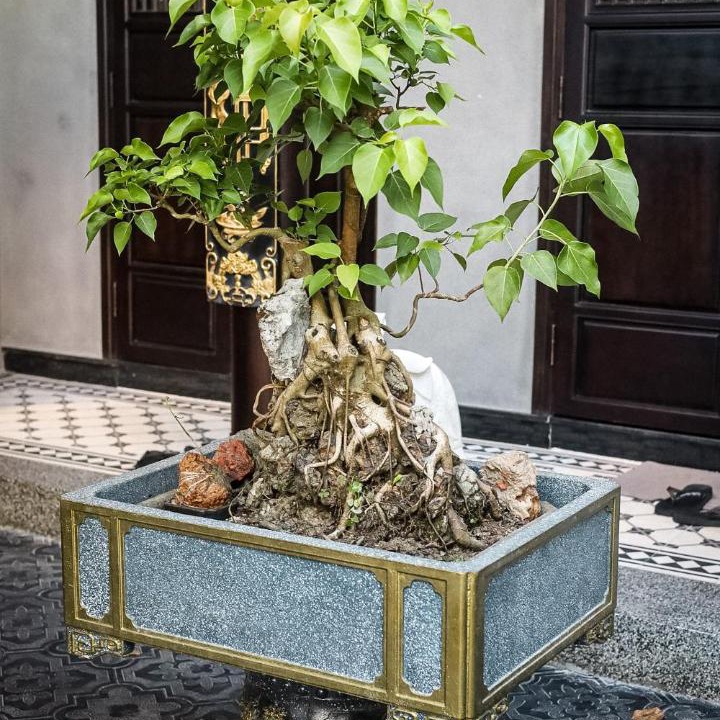 Photo of Others in Hue