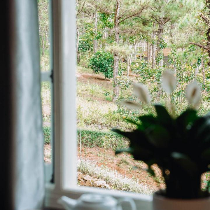 Photo of Others in Phuong
