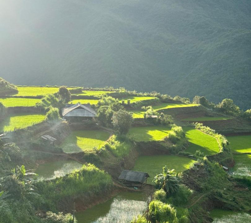 Photo of Others in Muong La
