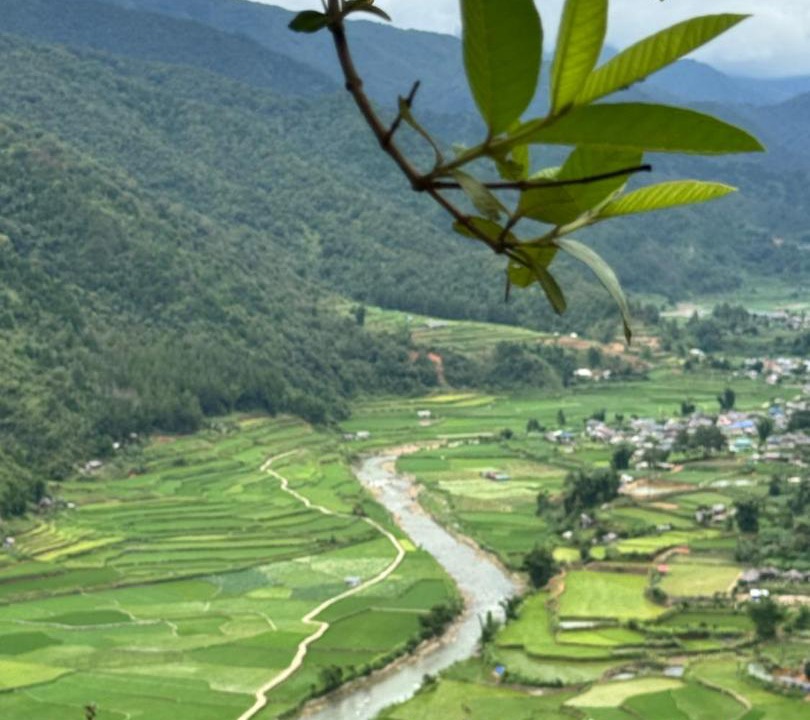 Photo of Others in Muong La
