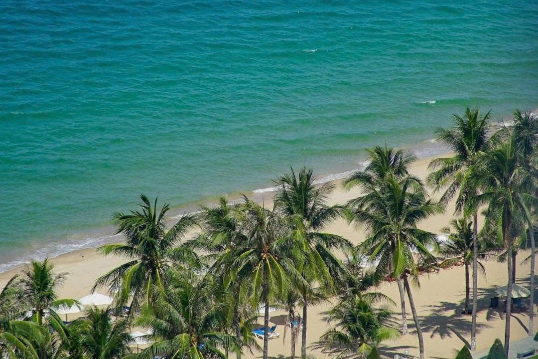 Photo of Others in Tran Phu Beach