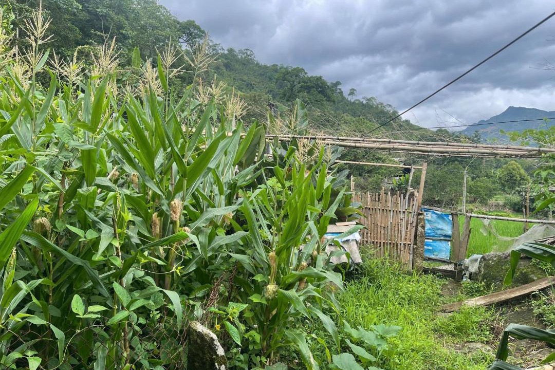 Photo of Others in Sa Pa