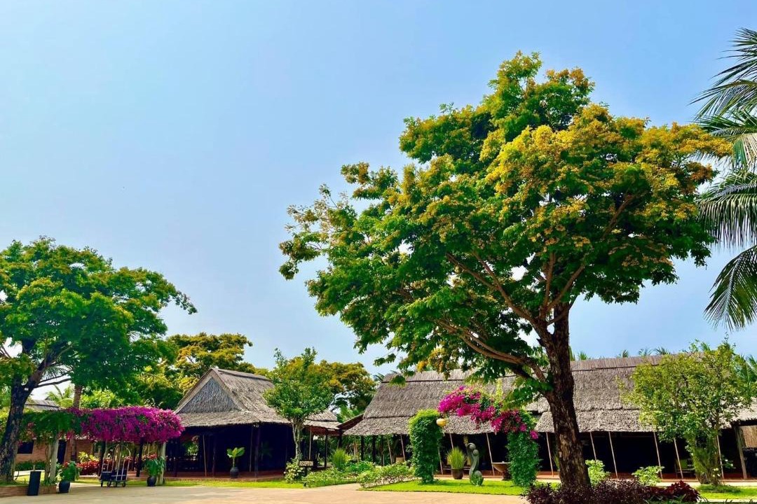Photo of Others in Cam Thanh