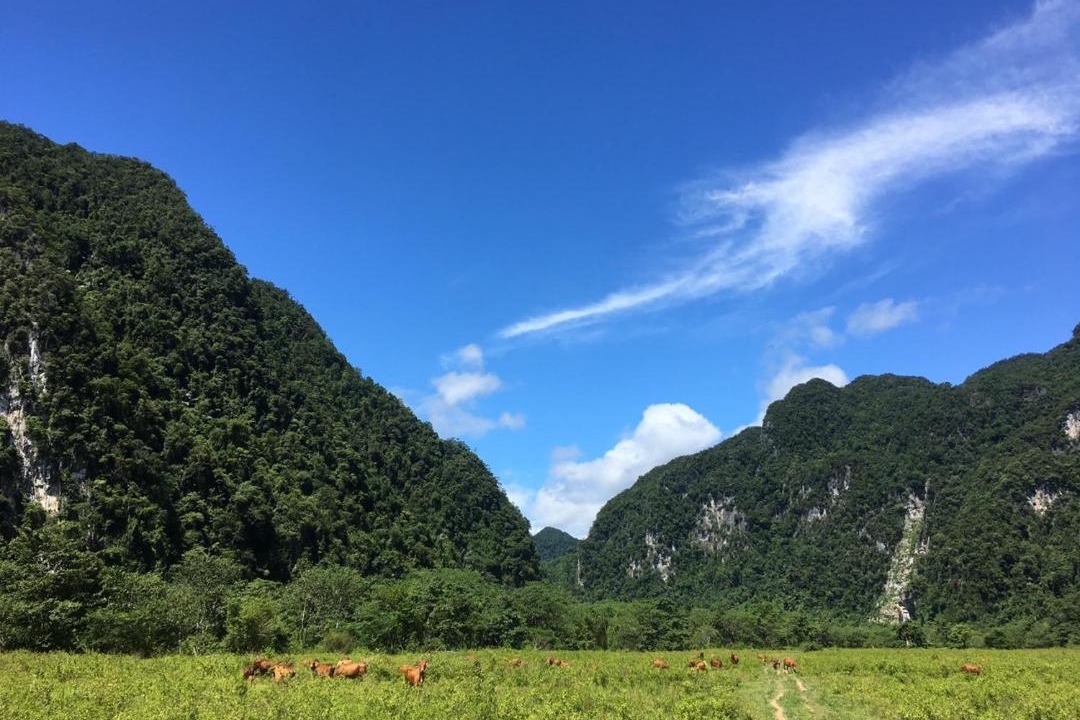 Photo of Others in Phong Nha