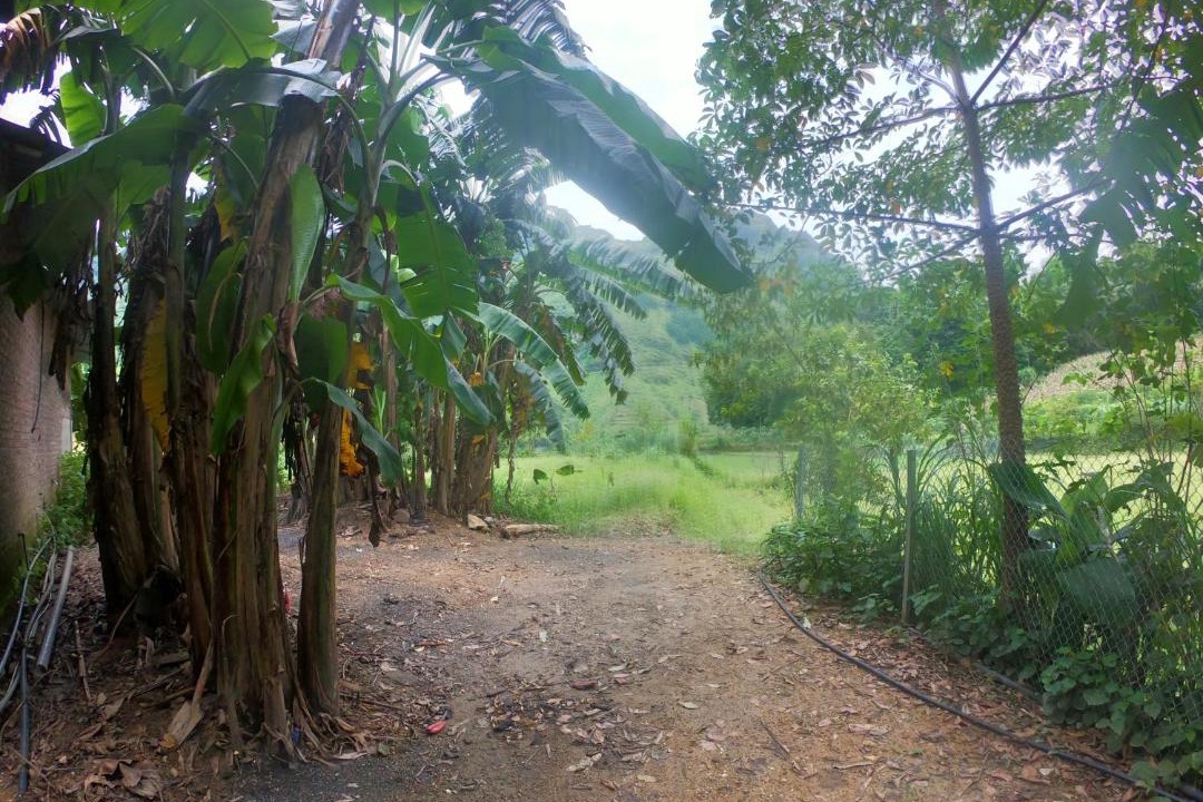 Photo of Others in Yen Minh