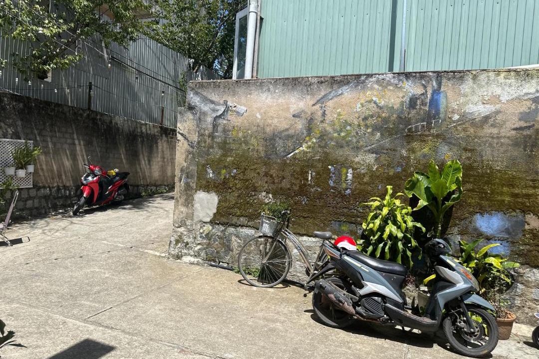 Photo of Others in Da Lat