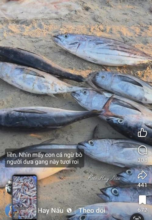 Photo of Others in Ninh Hoa