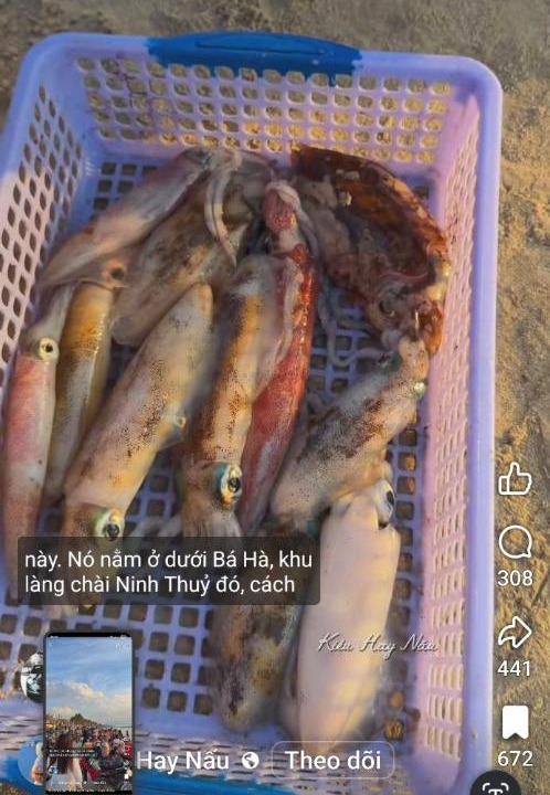Photo of Outdoor in Ninh Hoa