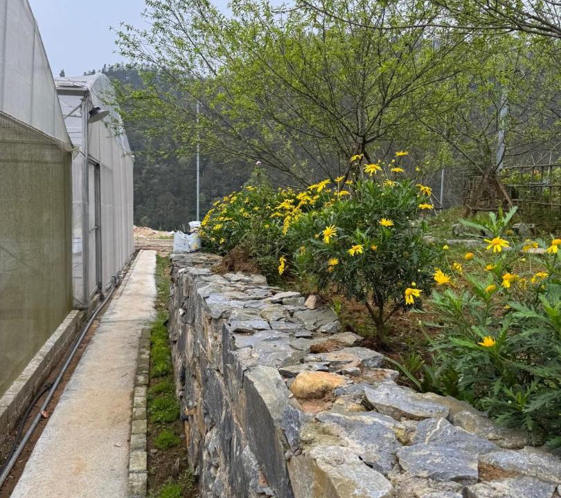 Photo of Outdoor in Sa Pa