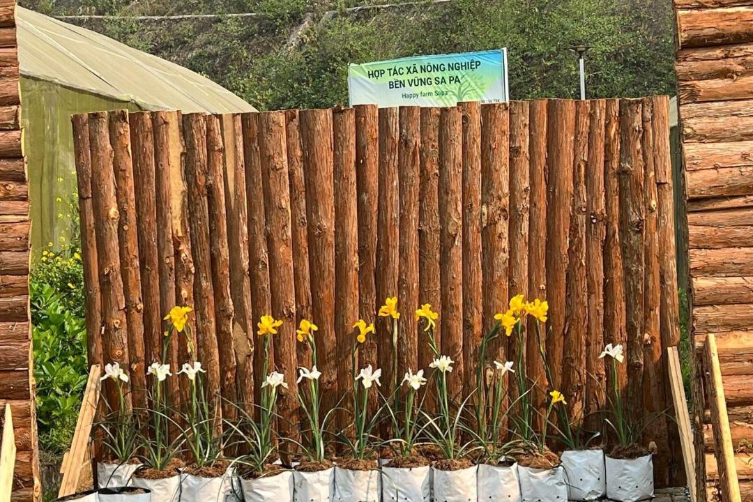 Photo of Outdoor in Sa Pa