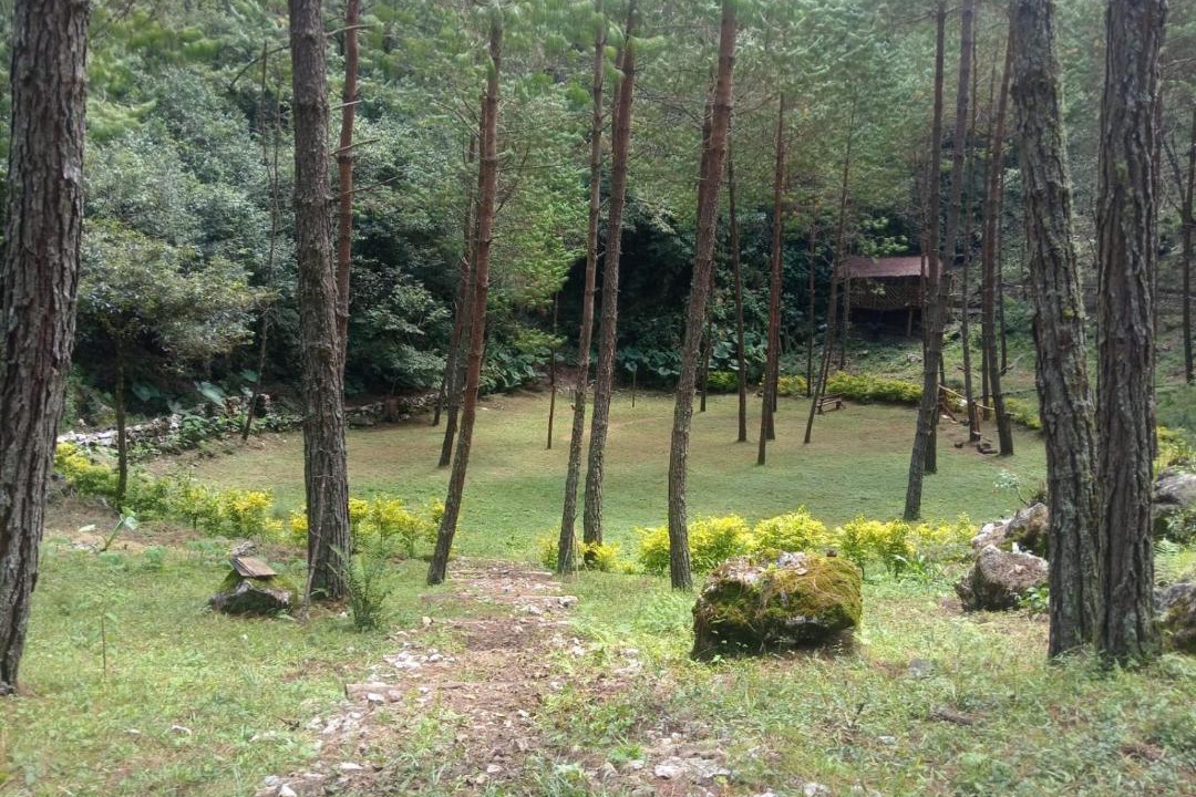 Photo of Others in Zoquitlan