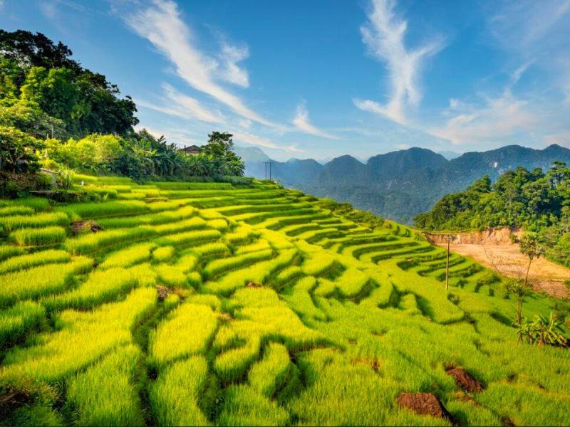 Photo of Others in Khu bao ton Thien nhien Pu Luong