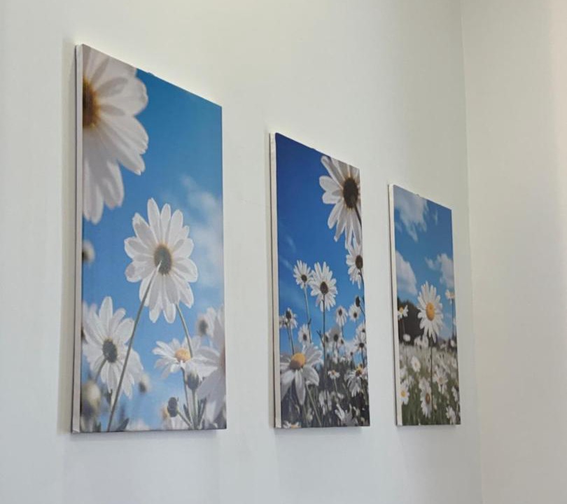 Photo of Others in Buon Ho