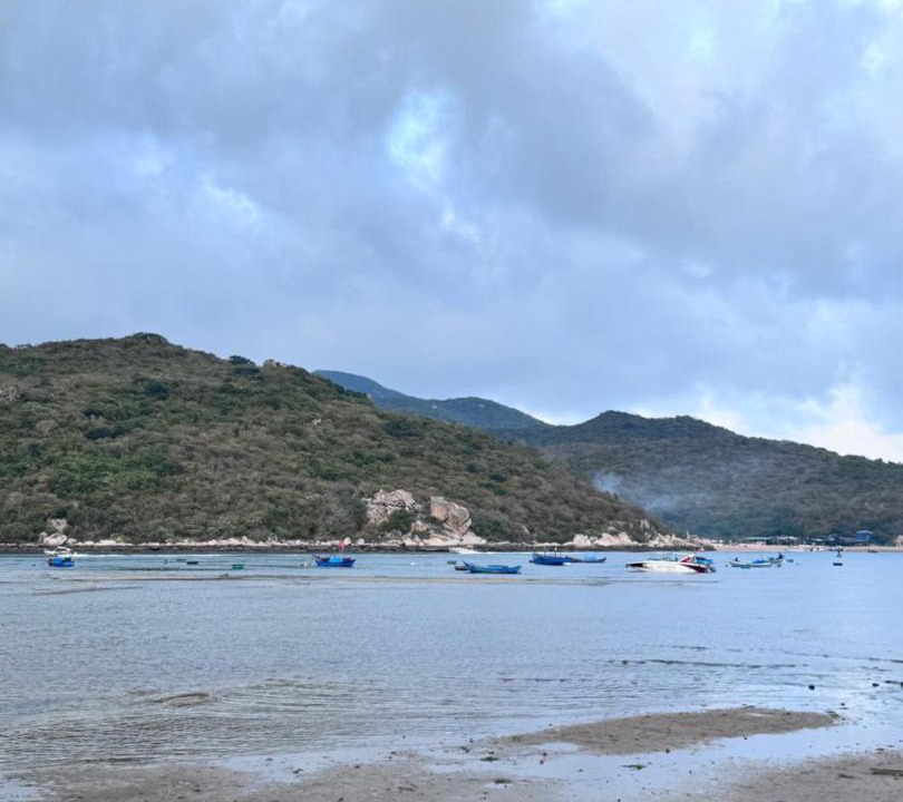 Photo of Others in Ninh Hai