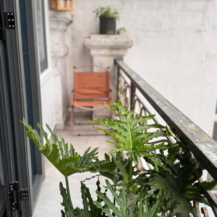 Photo of Patio Balcony in Tan Binh
