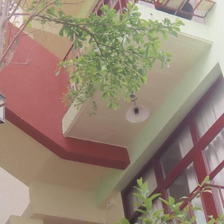 Photo of Others in Vinh Trung