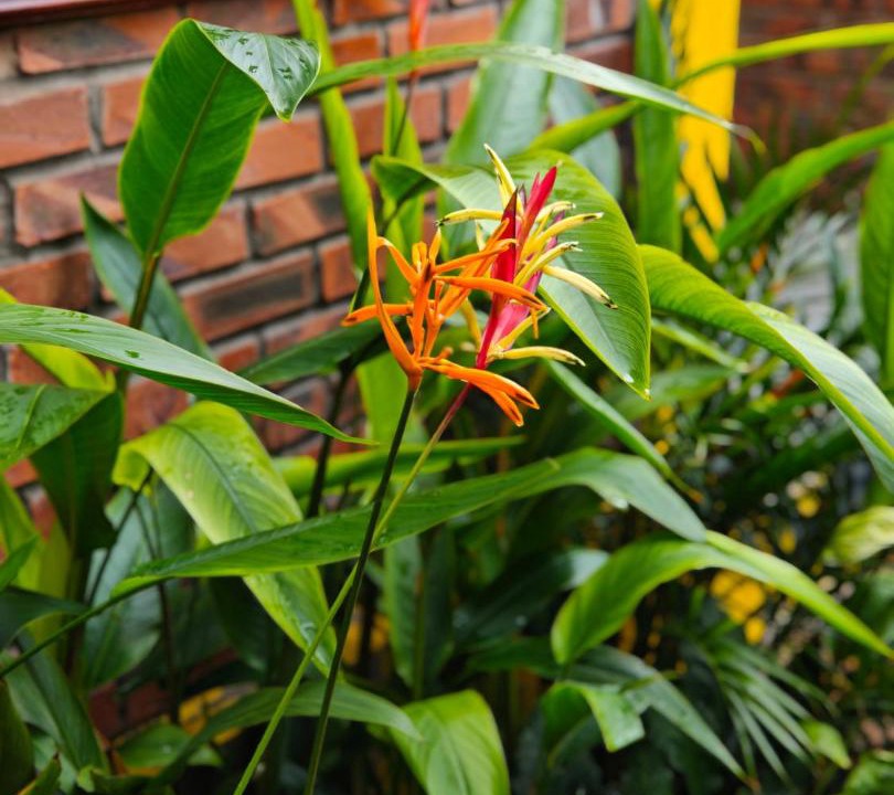 Photo of Others in Hoa Lu