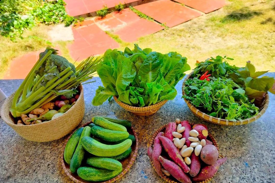 Photo of Others in Dong Hoa