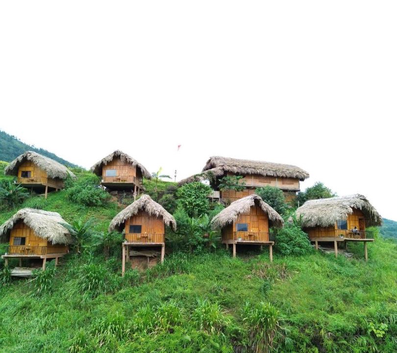 Photo of Others in Thong Nguyen