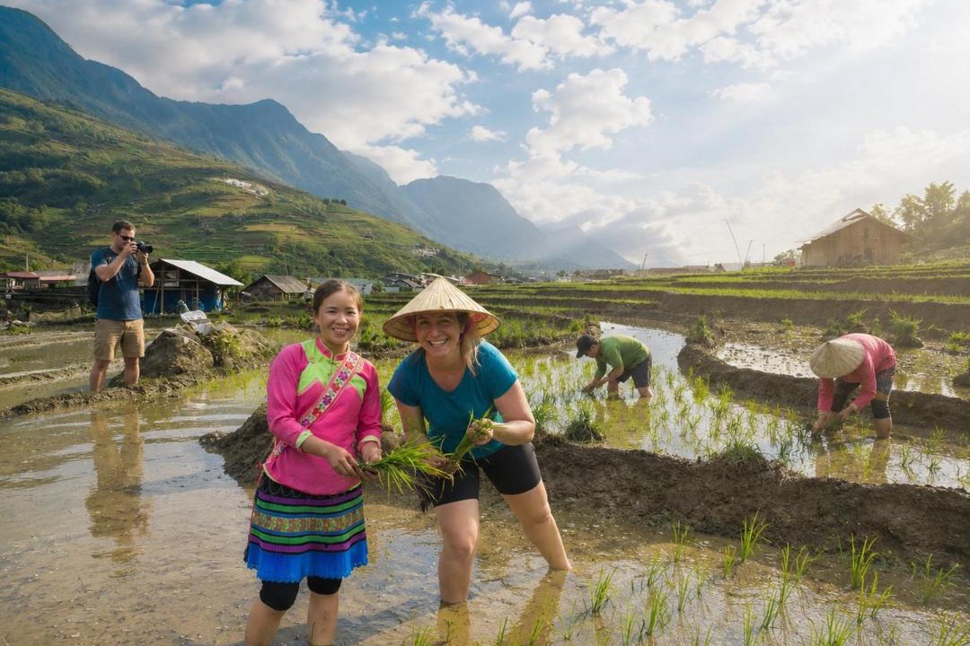 Photo of Others in Hau Thao