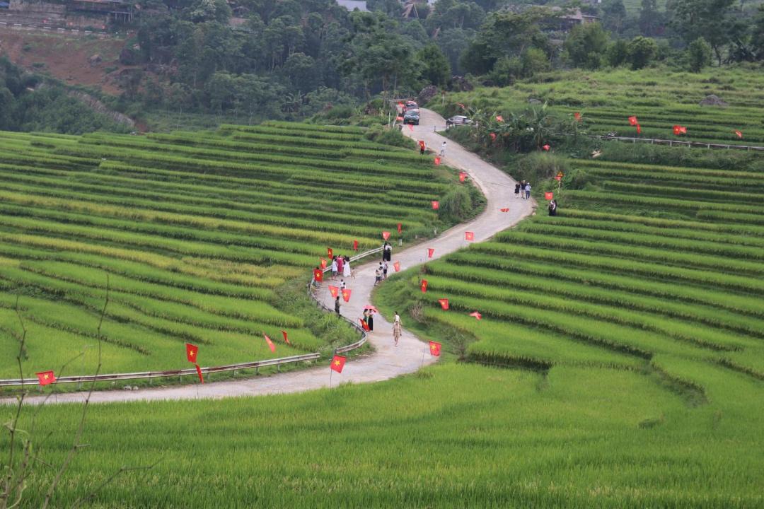 Photo of Others in Kho Muong