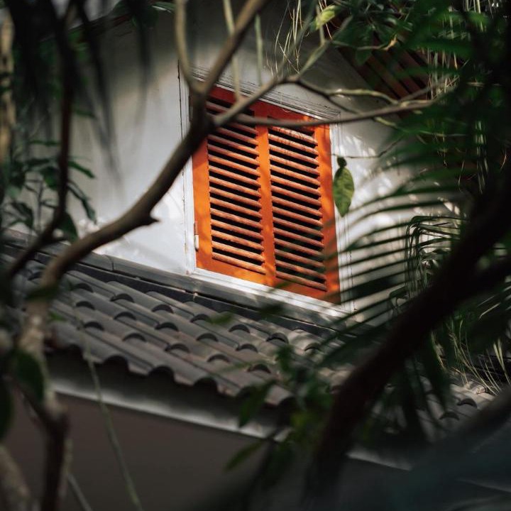 Photo of Others in Hoa Lu