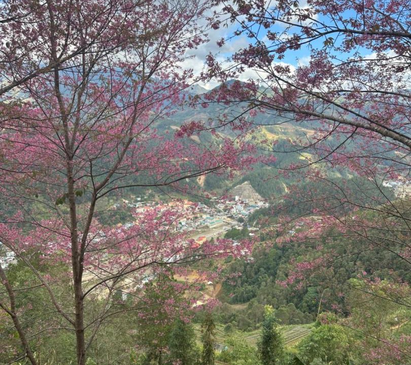Photo of Others in Mu Cang Chai