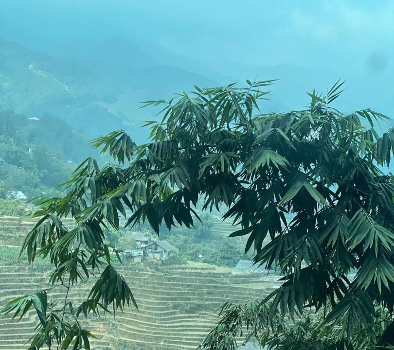 Photo of Others in Sa Pa