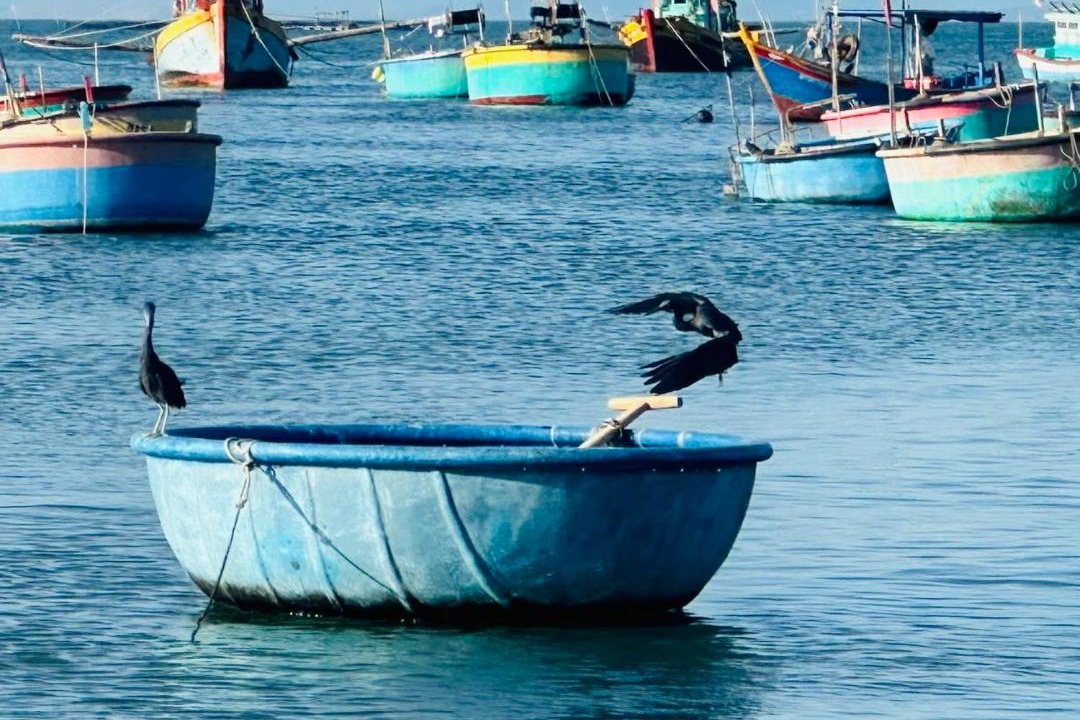 Photo of Others in East Ham Tien Beach
