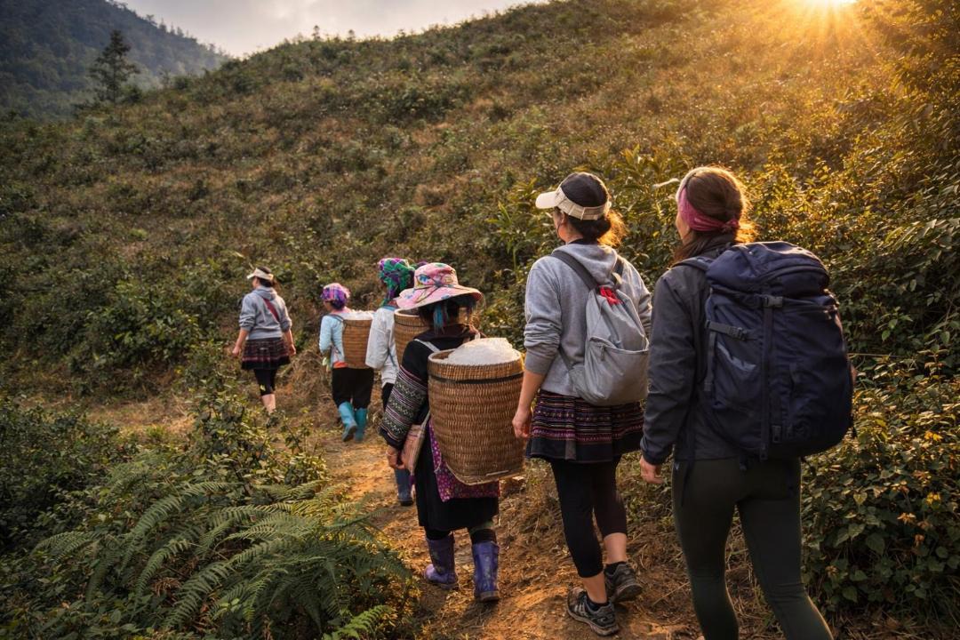 Photo of Others in Hau Thao