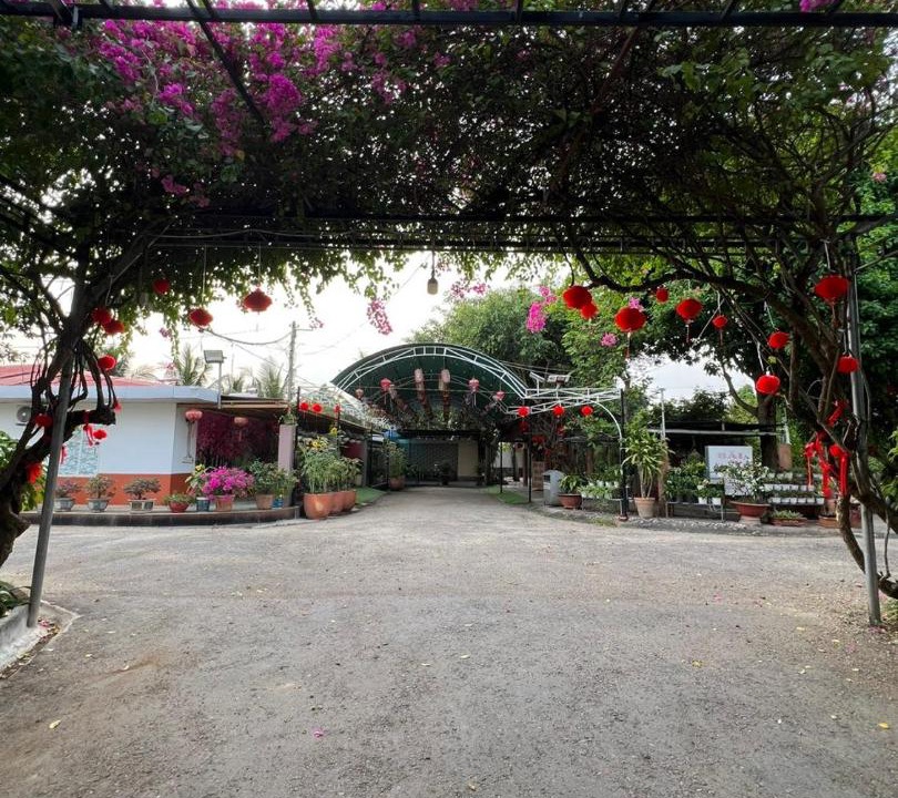 Photo of Others in Vinh Long