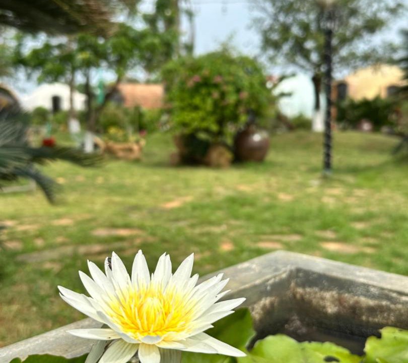 Photo of Others in Vinh Linh